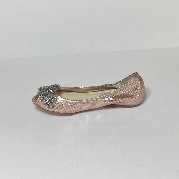 Vera Wang Lavender Luna Ballet Flats - Picture 4 of 15